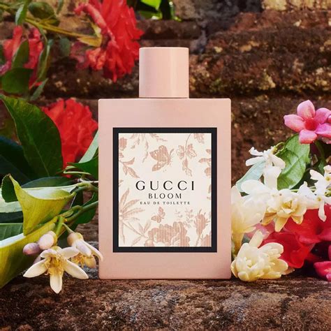 gucci bloom fragrantica.ru|Gucci Bloom women pics.